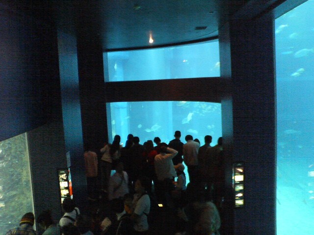 aquarium6